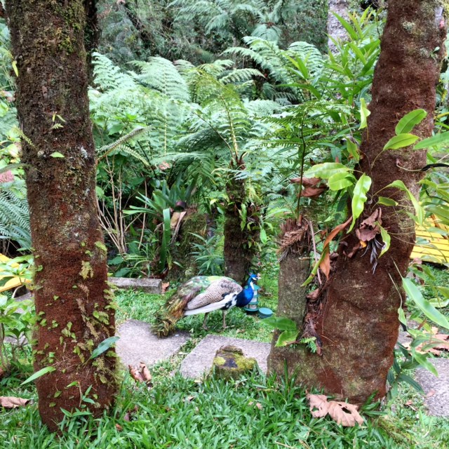 Pousada VillaD'amore 6