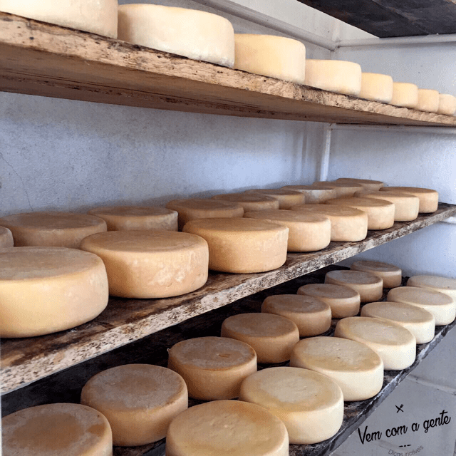 Queijo Canastra 11
