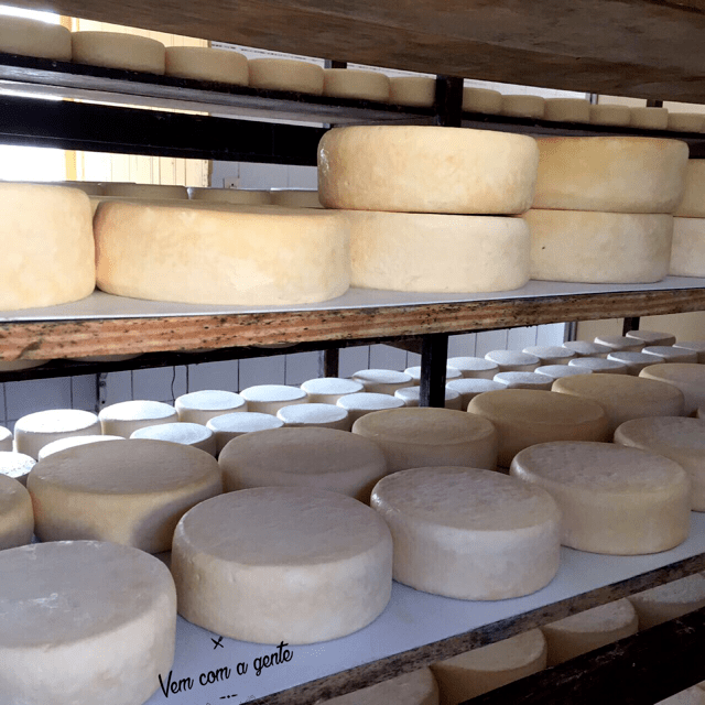 Queijo Canastra 3